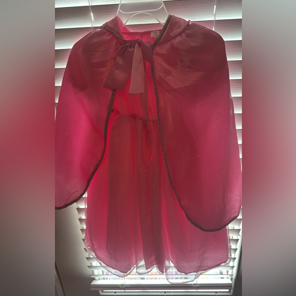 Pink Sheer Dress with Glitter Trim